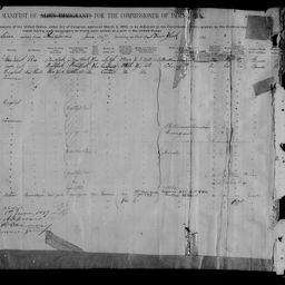 Improve alt-text: “New York Passenger Arrival Lists (Ellis Island), 1892-1924.” FamilySearch, 23 Feb. 2018, familysearch.org/ark:/61903/3:1:3QS7-89ND-LLHR?cc=1368704&amp;wc=4FMB-7KL%3A1600302329. Accessed 5 Oct. 2021. 